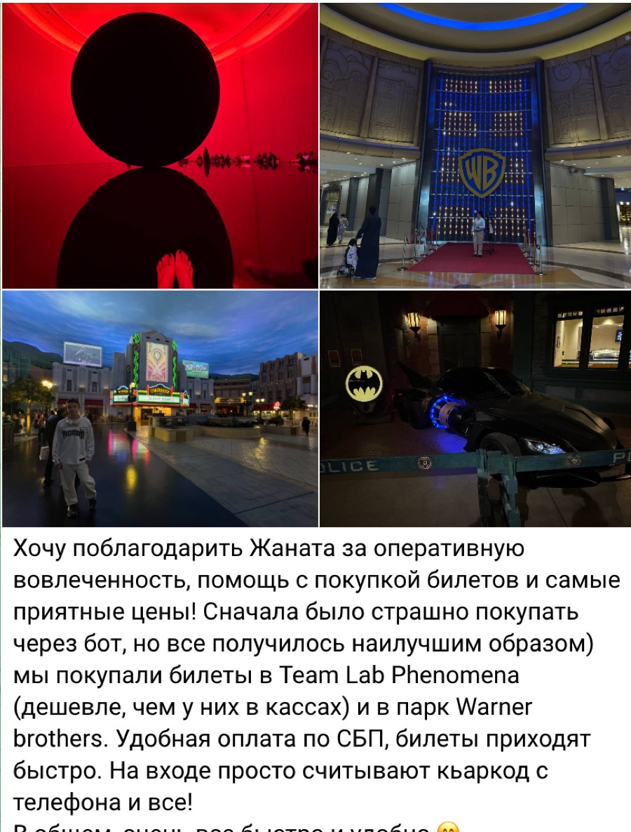 Скриншот Telegram-отзыва про TeamLab Phenomena и Warner Bros World